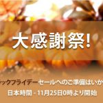 ブラックフライデーとDAWプラグイン・ブランド